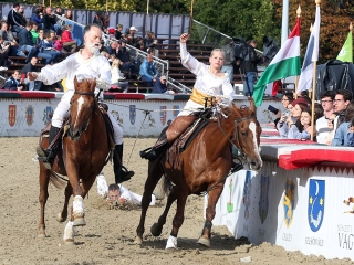 Nemzeti Vágta 2017 - fotó: Sándor Judit