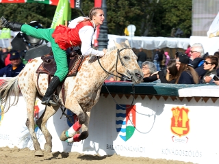 Nemzeti Vágta 2017 - fotó: Sándor Judit