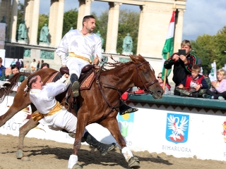 Nemzeti Vágta 2017 - fotó: Sándor Judit