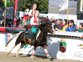 Nemzeti Vágta 2017 - fotó: Sándor Judit