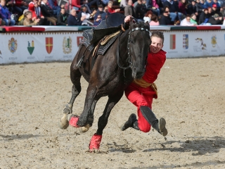 Nemzeti Vágta 2017 - fotó: Sándor Judit