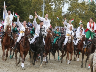 Nemzeti Vágta 2017 - fotó: Sándor Judit