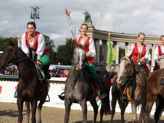 Nemzeti Vágta 2017 - fotó: Sándor Judit