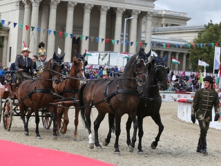 Nemzeti Vágta 2017 - fotó: Sándor Judit
