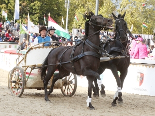 Nemzeti Vágta 2017 - fotó: Sándor Judit