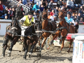 Nemzeti Vágta 2017 - fotó: Sándor Judit