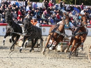Nemzeti Vágta 2017 - fotó: Sándor Judit