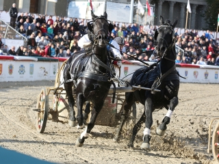 Nemzeti Vágta 2017 - fotó: Sándor Judit