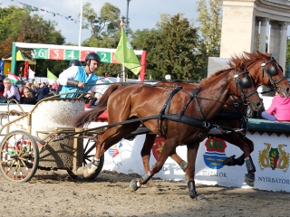 Nemzeti Vágta 2017 - fotó: Sándor Judit
