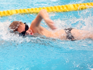 40 éves az úszó szakosztály - fotó: Sándor Judit