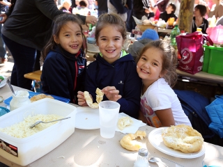 Móricz Piknik 2017 - fotó: Sándor Judit