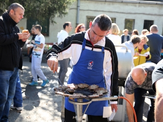 Móricz Piknik 2017 - fotó: Sándor Judit