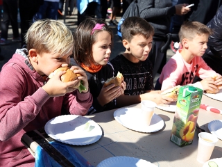 Móricz Piknik 2017 - fotó: Sándor Judit
