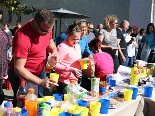 Móricz Piknik 2017 - fotó: Sándor Judit
