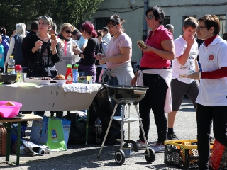 Móricz Piknik 2017 - fotó: Sándor Judit