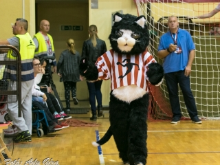 DKKA - CSM Roman 31-24 - fotó: 