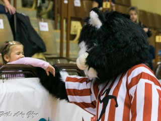 DKKA - CSM Roman 31-24 - fotó: 