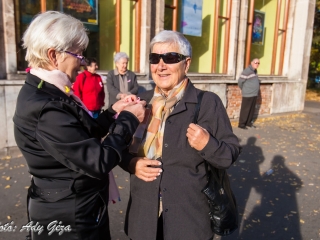 Séta a mellrák ellen (2017) - fotó: 