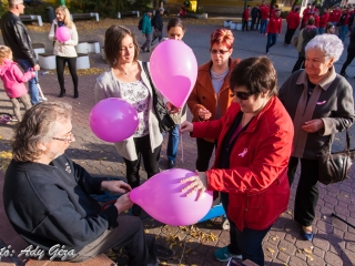 Séta a mellrák ellen (2017) - fotó: 
