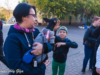 Séta a mellrák ellen (2017) - fotó: 