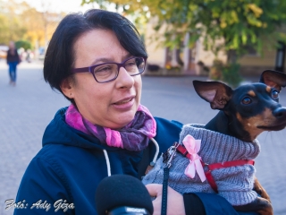 Séta a mellrák ellen (2017) - fotó: 