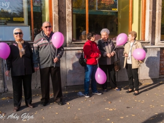 Séta a mellrák ellen (2017) - fotó: 