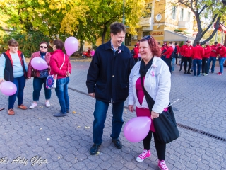 Séta a mellrák ellen (2017) - fotó: 