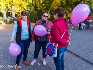 Séta a mellrák ellen (2017) - fotó: 