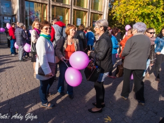 Séta a mellrák ellen (2017) - fotó: 