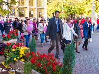 Séta a mellrák ellen (2017) - fotó: 