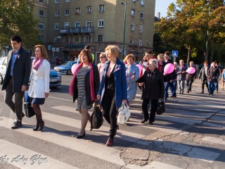 Séta a mellrák ellen (2017) - fotó: 