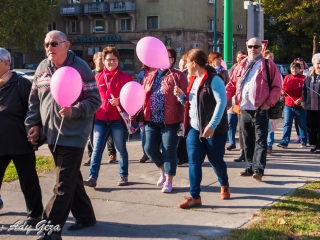 Séta a mellrák ellen (2017) - fotó: 