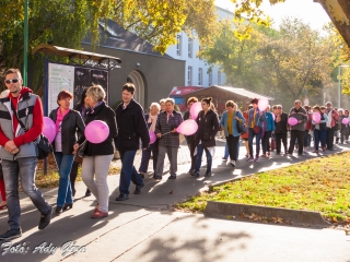 Séta a mellrák ellen (2017) - fotó: 