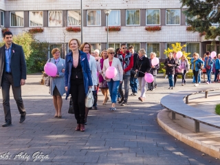 Séta a mellrák ellen (2017) - fotó: 