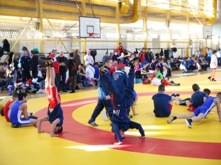 Birkózógála gyerekeknek - fotó: Ónodi Zoltán