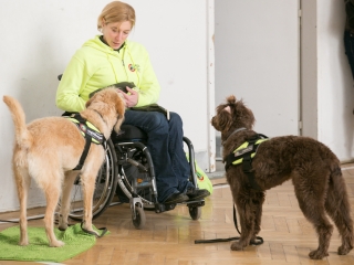 Érzékenyítő tréning a Szilágyiban - fotó: Ónodi Zoltán