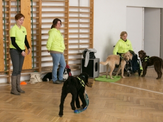 Érzékenyítő tréning a Szilágyiban - fotó: Ónodi Zoltán