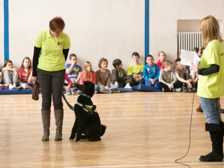 Érzékenyítő tréning a Szilágyiban - fotó: Ónodi Zoltán