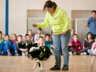 Érzékenyítő tréning a Szilágyiban - fotó: Ónodi Zoltán