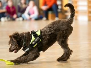 Érzékenyítő tréning a Szilágyiban - fotó: Ónodi Zoltán