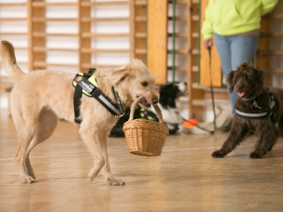 Érzékenyítő tréning a Szilágyiban - fotó: Ónodi Zoltán