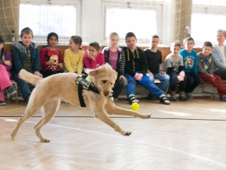 Érzékenyítő tréning a Szilágyiban - fotó: Ónodi Zoltán