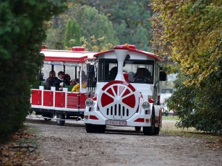 Ünnepi megemlékezés a temetőben - fotó: Sándor Judit