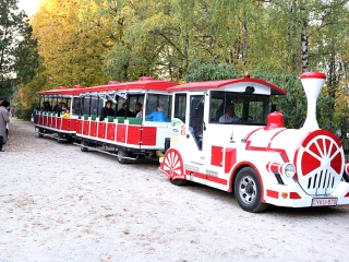 Ünnepi megemlékezés a temetőben - fotó: Sándor Judit
