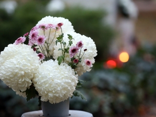 Ünnepi megemlékezés a temetőben - fotó: Sándor Judit