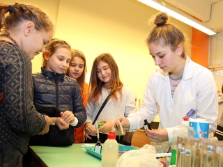 A Szakképzés Napja (2017) - fotó: Sándor Judit