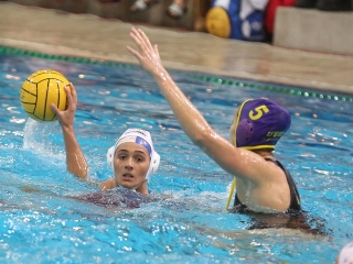 DUE-Maarsk Graphics - UVSE 6-8 - fotó: Sándor Judit