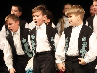 Vasas 65 - Gála a Bartókban - fotó: Sándor Judit