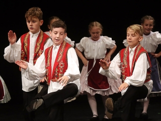 Vasas 65 - Gála a Bartókban - fotó: Sándor Judit