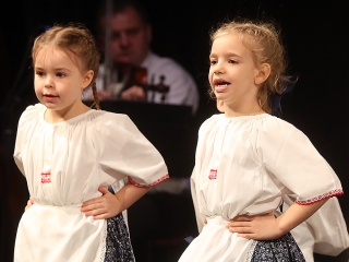 Vasas 65 - Gála a Bartókban - fotó: Sándor Judit